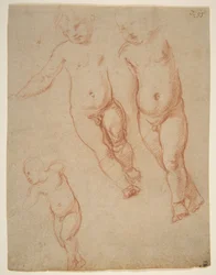 Studien des Christuskindes